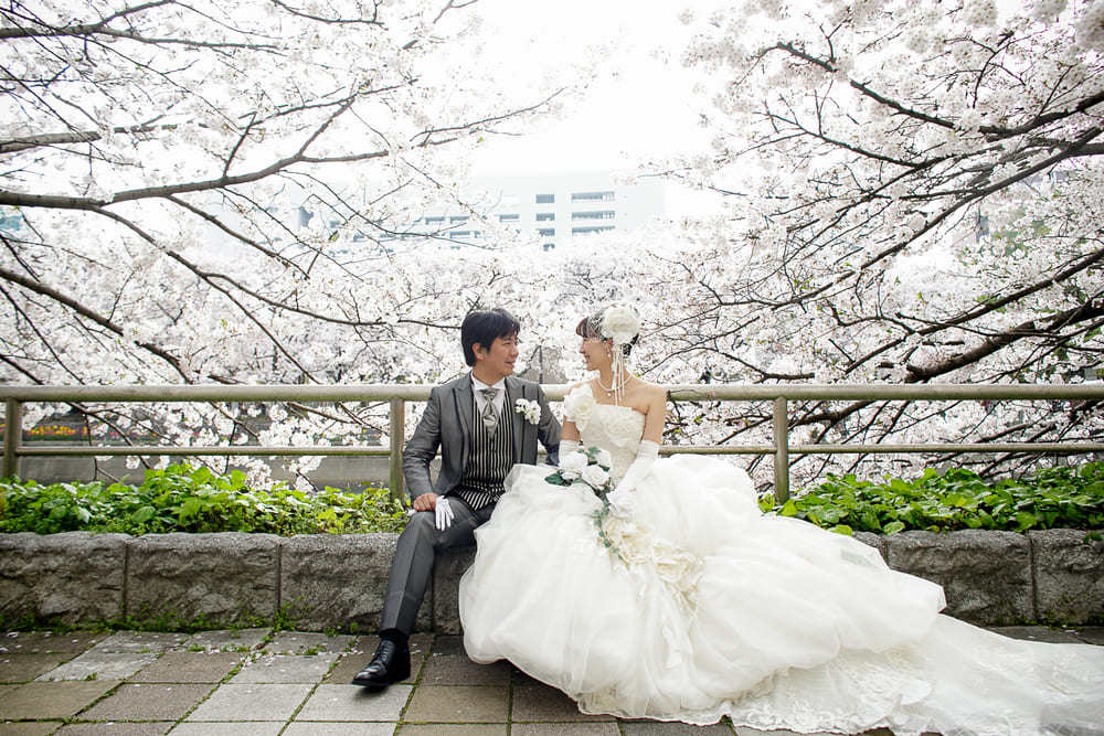 福岡県福岡市中央区天神１丁目１・川沿いにはたくさんの桜が植えてあり、桜の名所として春の撮影が大人気